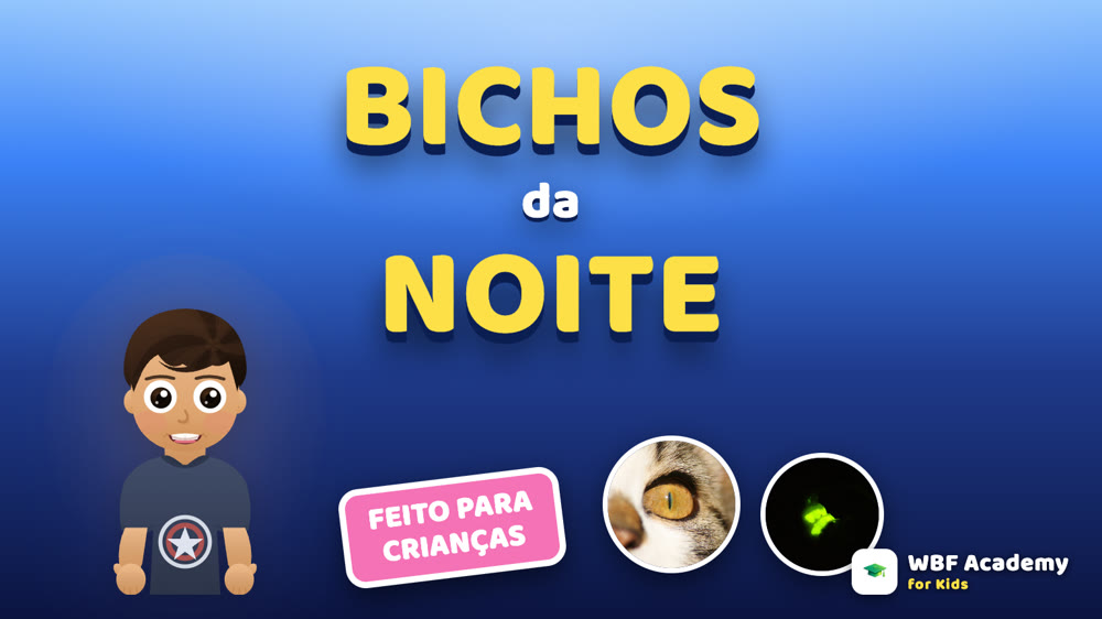 Bichos da Noite para Crianças