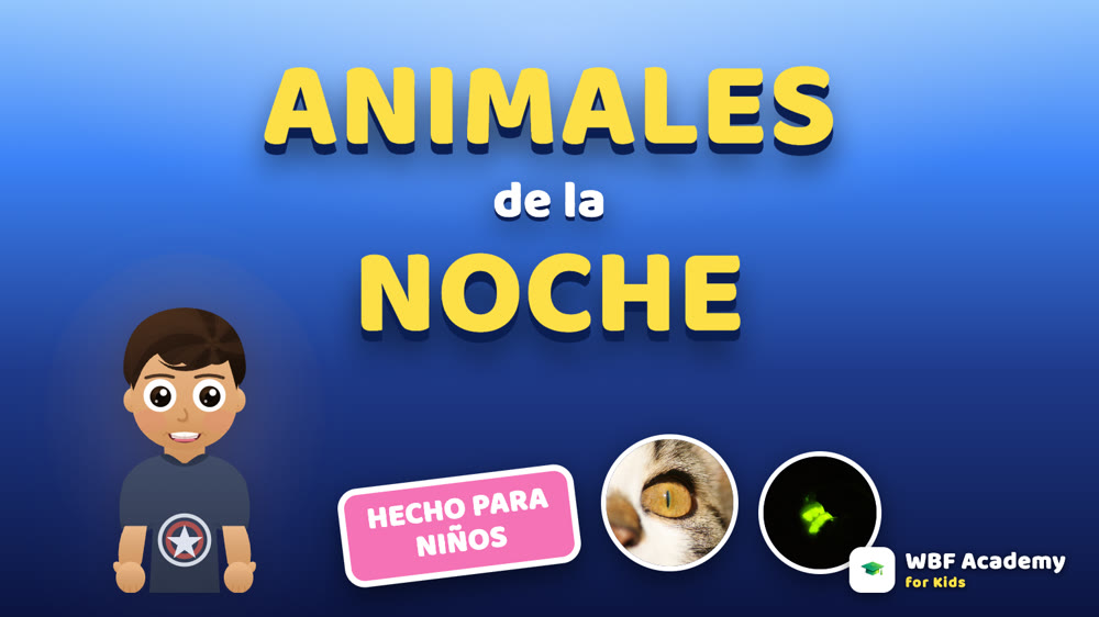 Animales de la Noche para Niños
