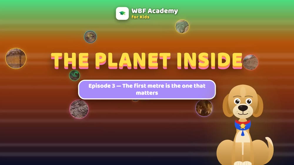 The Soil