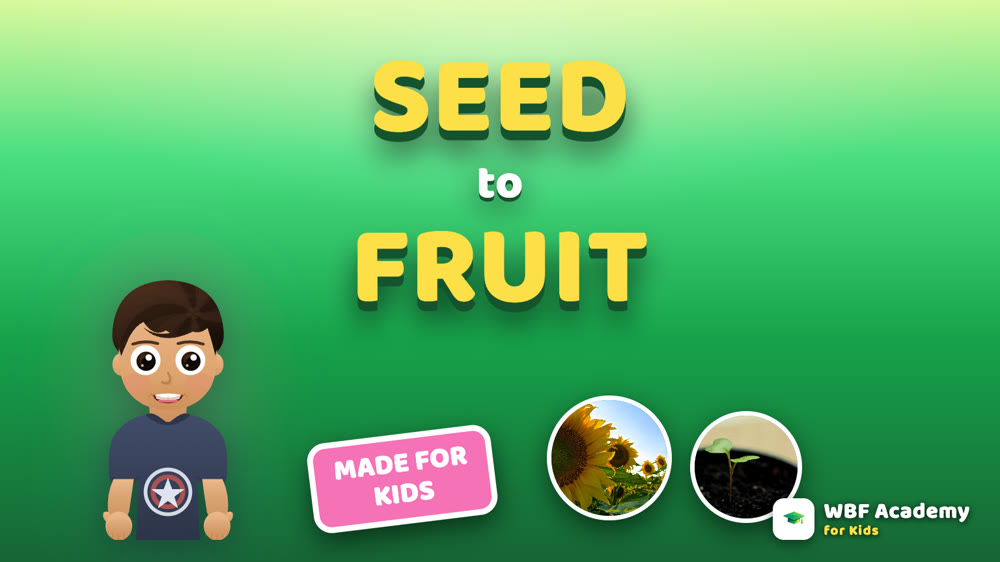 From Seed to Fruit for Kids