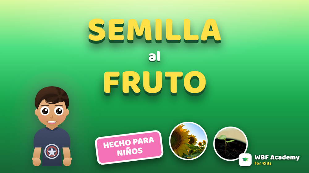 De la Semilla al Fruto para Niños