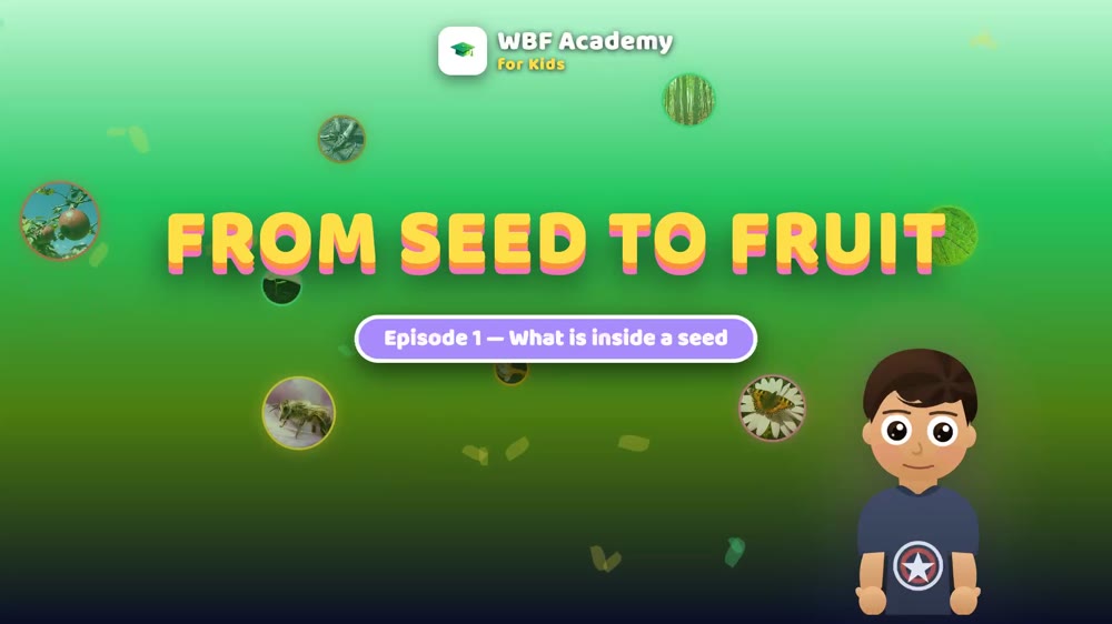What Is Inside a Seed