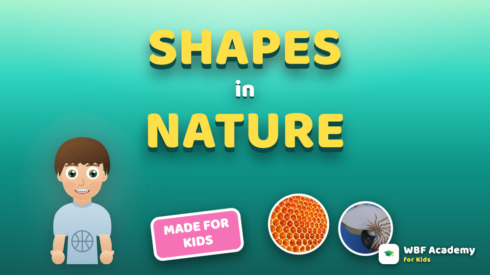 Shapes in Nature for Kids
