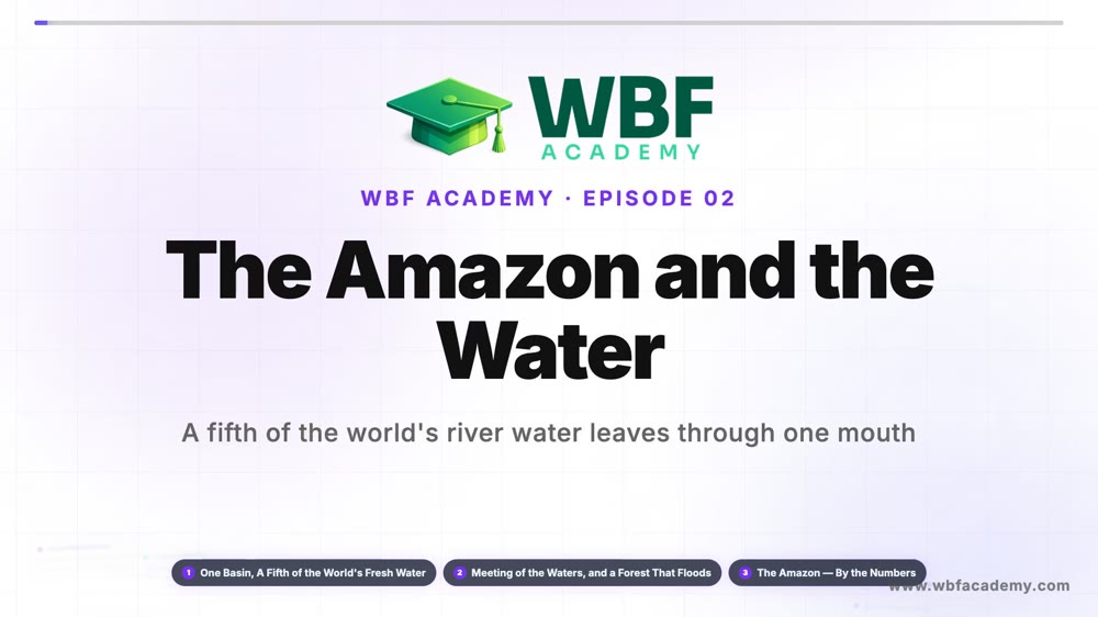The Amazon and the Water