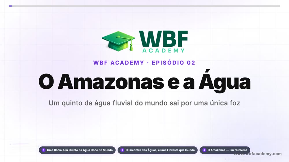 O Amazonas e a Água
