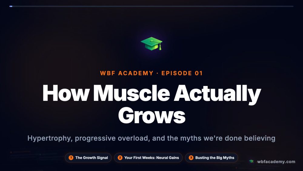How Muscle Actually Grows