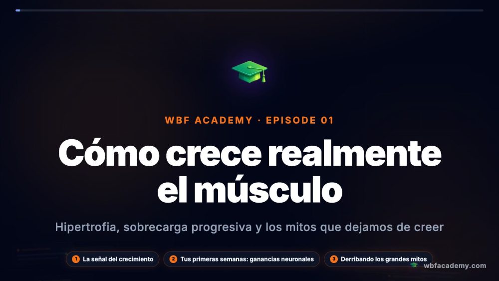 Cómo crece realmente el músculo