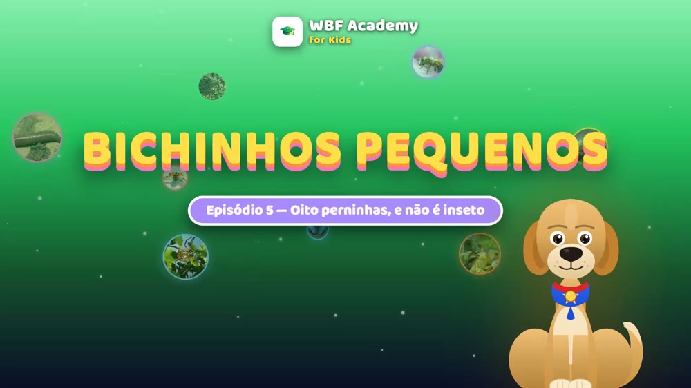 A aranha