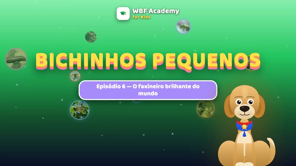 O escaravelho