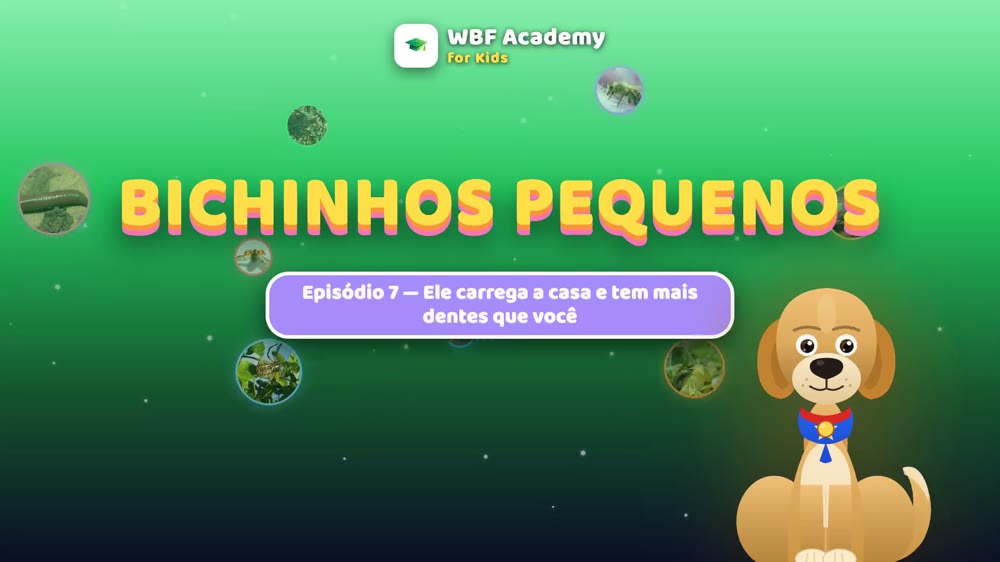 O caracol