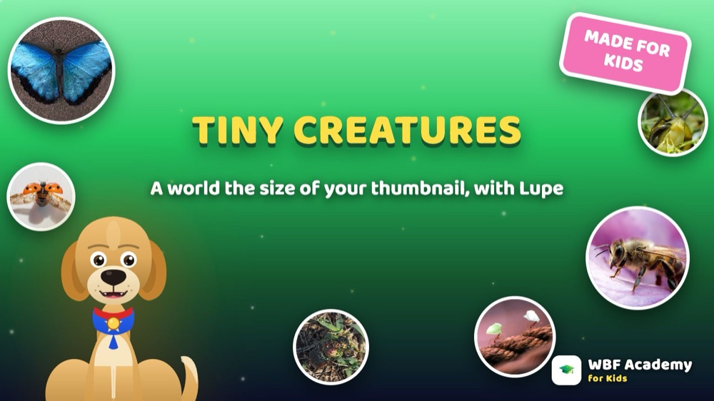 Tiny Creatures for Kids