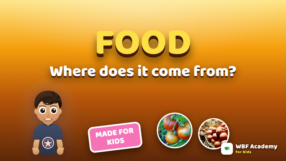 Where Food Comes From for Kids